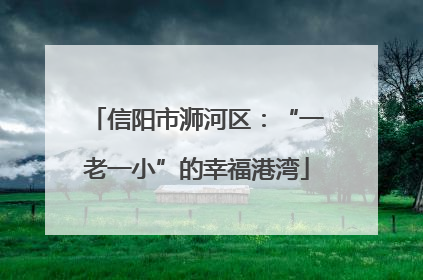 信阳市浉河区：“一老一小”的幸福港湾